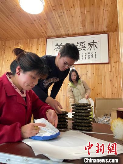 資料圖：杜贏(左二)在整理白茶餅?！×执阂?攝